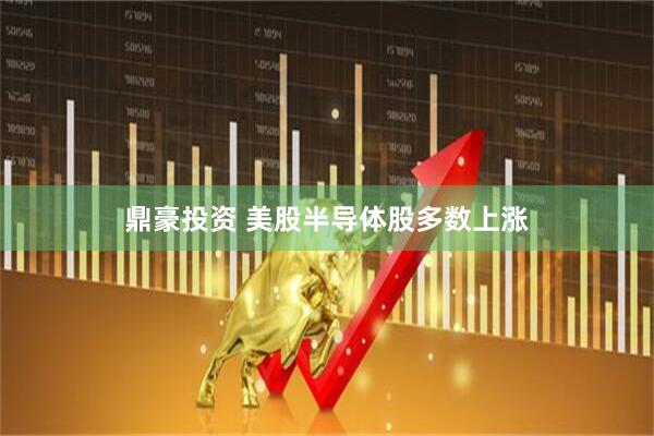 鼎豪投资 美股半导体股多数上涨