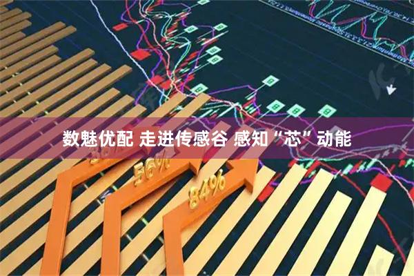 数魅优配 走进传感谷 感知“芯”动能